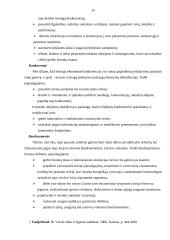 Verslo etika tarptautiniame verslo vystyme 15 puslapis