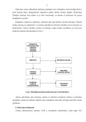 Verslo etika tarptautiniame verslo vystyme 5 puslapis