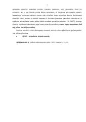 Verslo etika tarptautiniame verslo vystyme 7 puslapis