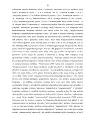 Verslo etika tarptautiniame verslo vystyme 10 puslapis