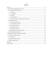 Verslo organizacijos išorinė aplinka ir jos įtaka valdymui 2 puslapis