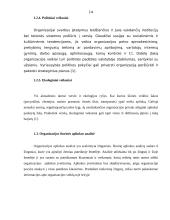 Verslo organizacijos išorinė aplinka ir jos įtaka valdymui 13 puslapis