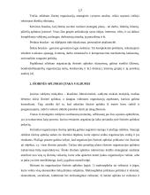 Verslo organizacijos išorinė aplinka ir jos įtaka valdymui 16 puslapis