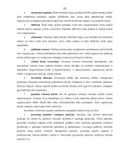 Verslo organizacijos išorinė aplinka ir jos įtaka valdymui 19 puslapis