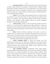 Verslo organizacijos išorinė aplinka ir jos įtaka valdymui 20 puslapis