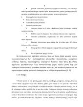 Verslo organizacijos išorinė aplinka ir jos įtaka valdymui 8 puslapis