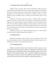 Verslo organizacijos išorinė aplinka ir jos įtaka valdymui 10 puslapis