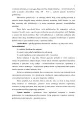 Verslo organizavimas globalizacijos sąlygomis 2 puslapis