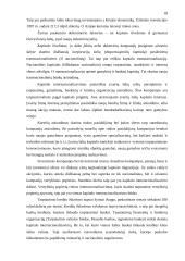 Verslo organizavimas globalizacijos sąlygomis 16 puslapis