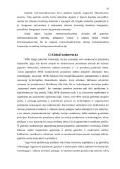 Verslo organizavimas globalizacijos sąlygomis 17 puslapis