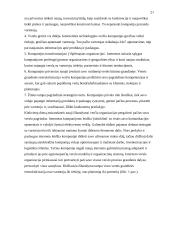 Verslo organizavimas globalizacijos sąlygomis 19 puslapis