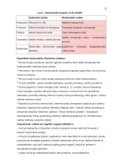 Verslo organizavimas globalizacijos sąlygomis 20 puslapis