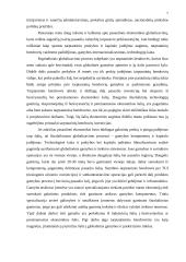 Verslo organizavimas globalizacijos sąlygomis 5 puslapis