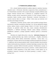 Verslo organizavimas globalizacijos sąlygomis 6 puslapis