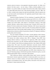 Verslo organizavimas globalizacijos sąlygomis 9 puslapis