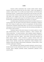 Verslo organizavimas: inertinių krovinių gabenimas 2 puslapis