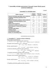 Verslo organizavimas: inertinių krovinių gabenimas 11 puslapis