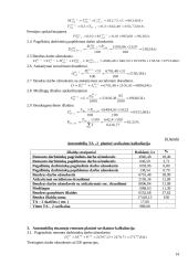 Verslo organizavimas: inertinių krovinių gabenimas 13 puslapis