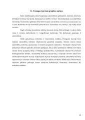 Verslo organizavimas: inertinių krovinių gabenimas 19 puslapis