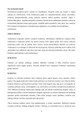 Dopingo poveikis 4 puslapis