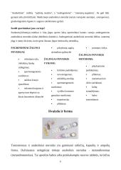 Dopingo poveikis 6 puslapis