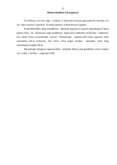 Dumblių savybės 12 puslapis