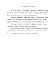 Dumblių savybės 13 puslapis
