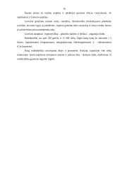 Dumblių savybės 16 puslapis