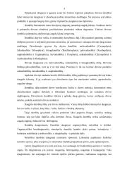 Dumblių savybės 3 puslapis