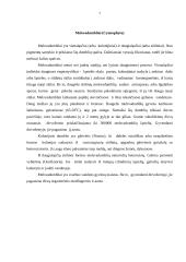 Dumblių savybės 7 puslapis