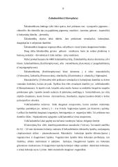 Dumblių savybės 8 puslapis