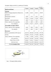 Verslo planas: apgyvendinimo bei maitinimo verslas UAB "Aupala" 13 puslapis