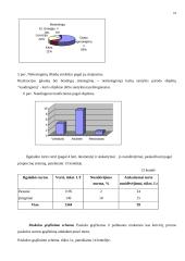 Verslo planas: apgyvendinimo bei maitinimo verslas UAB "Aupala" 17 puslapis