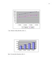 Verslo planas: apgyvendinimo bei maitinimo verslas UAB "Aupala" 19 puslapis