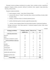 Verslo planas: apgyvendinimo bei maitinimo verslas UAB "Aupala" 10 puslapis