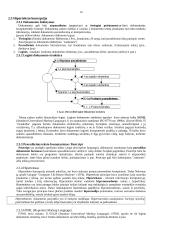 Modernios reklamos technologijos 14 puslapis