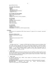 Modernios reklamos technologijos 19 puslapis