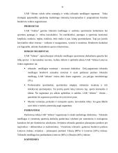 Verslo planas: drabužiai sportui UAB "Atletas" 10 puslapis