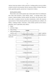 Verslo planas: išrūgų miltelių gamyba UAB "Lavisa" 11 puslapis