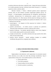 Verslo planas: išrūgų miltelių gamyba UAB "Lavisa" 13 puslapis