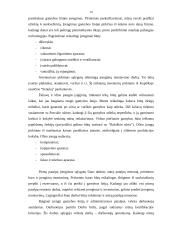 Verslo planas: išrūgų miltelių gamyba UAB "Lavisa" 19 puslapis