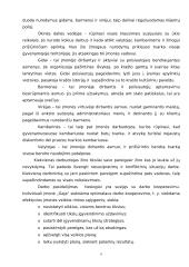 Verslo planas: kaimo turizmo organizavimas ir plėtojimas IĮ "Gaja" 8 puslapis