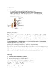 Naftos sudėtis 2 puslapis