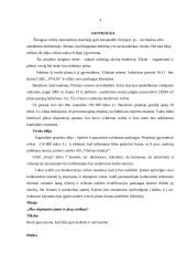 Verslo planas: kavinė-pirtis UAB "Svaja" 2 puslapis