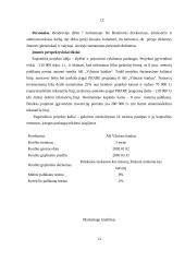 Verslo planas: kavinė-pirtis UAB "Svaja" 11 puslapis