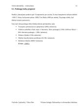 Verslo planas: mažmeninė kompiuterinės technikos ir programinės įrangos prekybos įmonė "Kompas" 11 puslapis