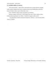 Verslo planas: mažmeninė kompiuterinės technikos ir programinės įrangos prekybos įmonė "Kompas" 13 puslapis