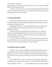 Verslo planas: mažmeninė kompiuterinės technikos ir programinės įrangos prekybos įmonė "Kompas" 7 puslapis