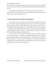 Verslo planas: mažmeninė kompiuterinės technikos ir programinės įrangos prekybos įmonė "Kompas" 8 puslapis