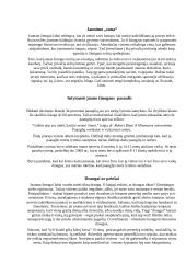 Svaigalai ir jaunas žmogus, paauglys 3 puslapis